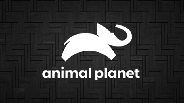 Assistir Animal Planet ao vivo em HD Online